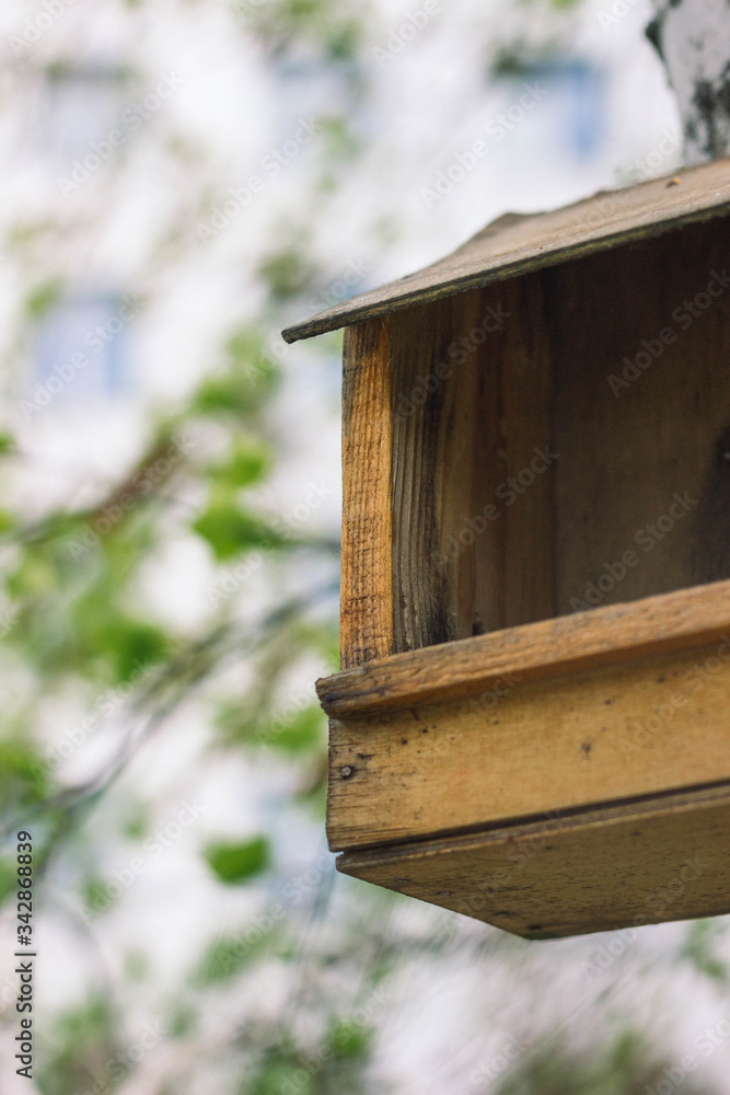 bird house in the forest bird house in the forest