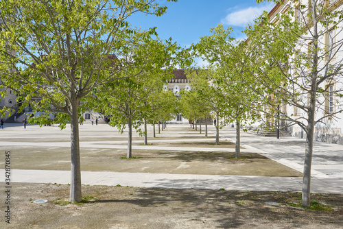 Coimbra university garden trees, in Portugal