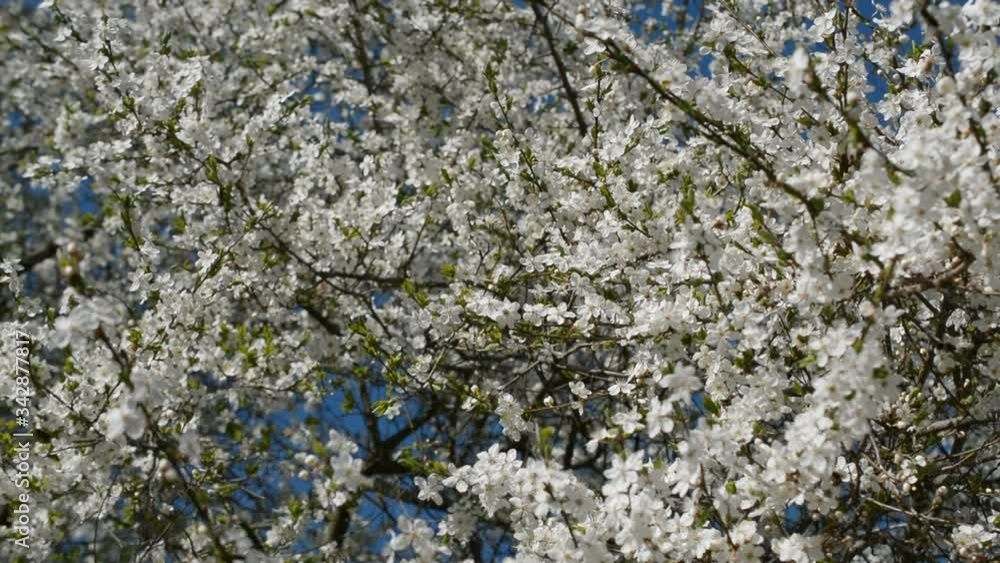Concept of beautiful nature spring background Concept of beautiful nature spring background