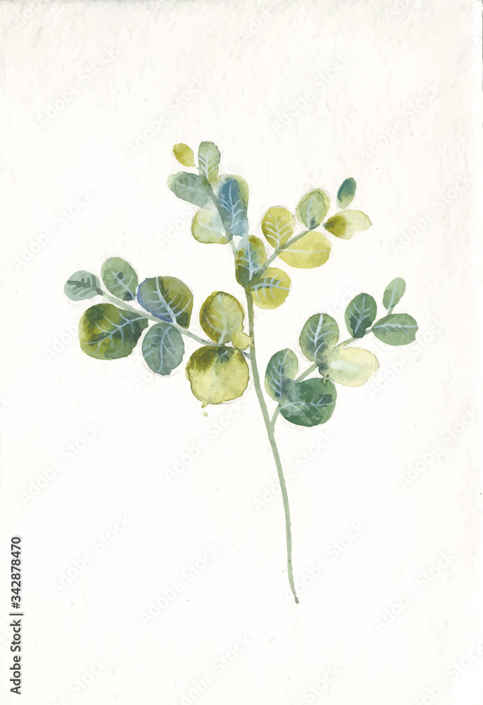 Obraz premium Watercolor hand painted wreath with green eucalyptus leaves and branches. Spring or summer flowers for invitation, wedding or greeting cards.