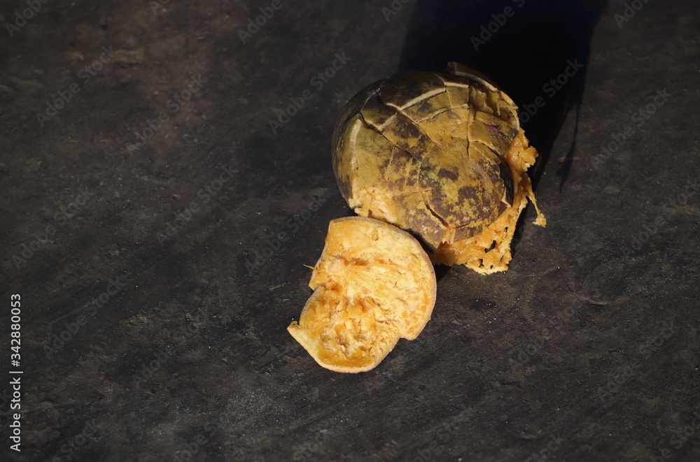 Ripe Bael Fruit, Aegle Marmelos, Wood Apple or ElephantApple on Soil