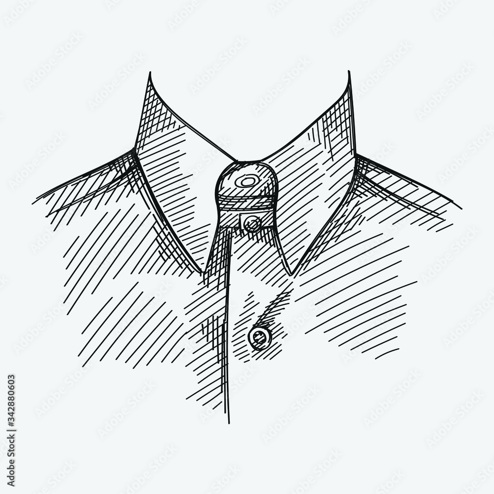 Hand-drawn sketch of a shirt collar with no tie on a white background. Straight  point collar model Stock Vector | Adobe Stock