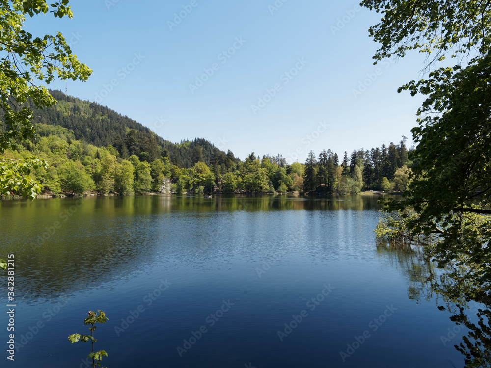 Naturpark Südschwarzwald. Spaziergang um den Bergsee oberhalb Bad Säckingen und Gipfel Röthekopf unter einem frühlingsblauen Himmel in Baden-Wüttemberg