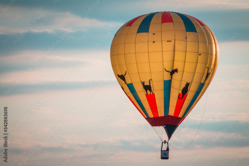 Obraz premium Cat hot air balloon flying through the sky