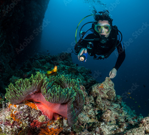 Woman diver discovers anenome and anenome fish on Chaaya Reef, Ellaidhoo, Maldives