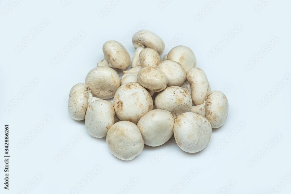 Fresh mushrooms isolated on a gray background. White champignon on a subject table. Mushrooms grown at home.