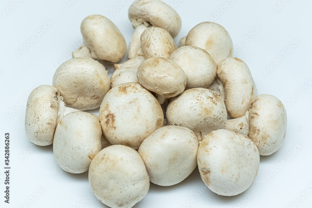 Fresh mushrooms isolated on a gray background. White champignon on a subject table. Mushrooms grown at home. Fresh mushrooms isolated on a gray background. White champignon on a subject table. Mushrooms grown at home.