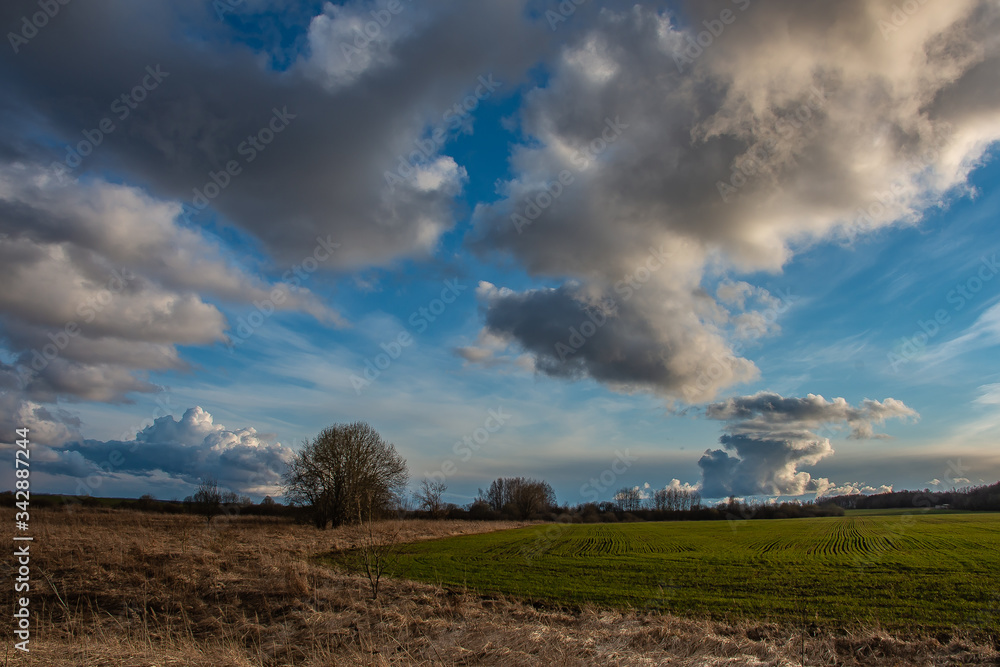 Obraz premium evening landscape with rain Cumulus clouds