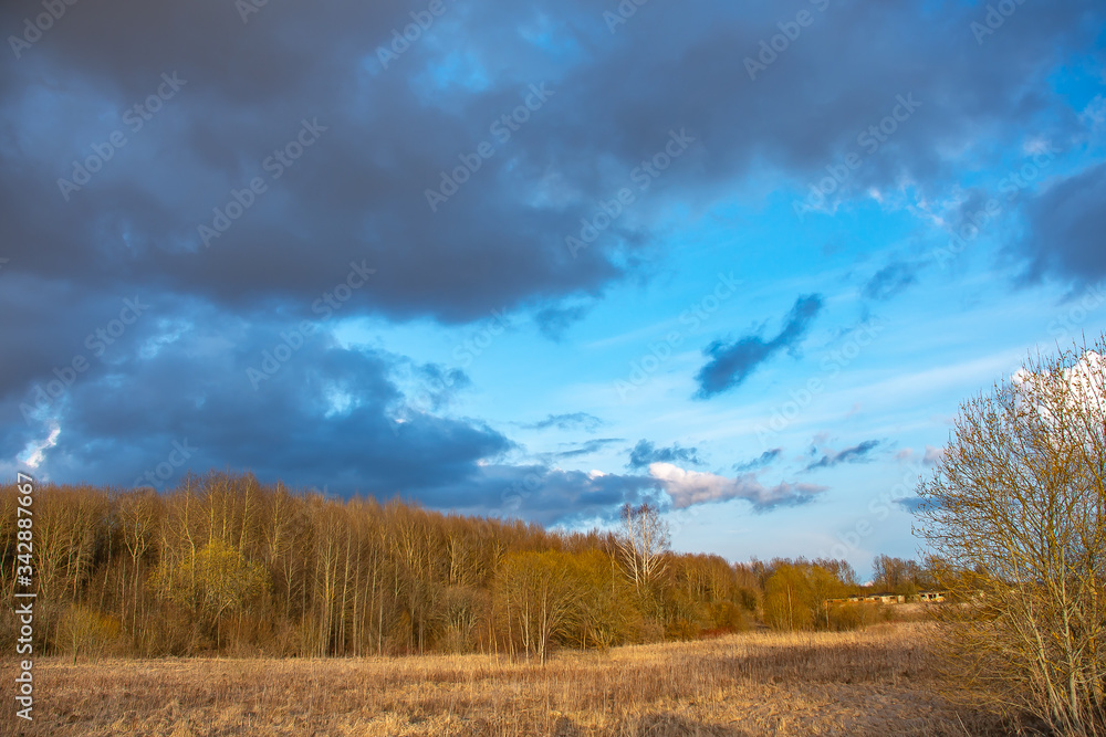 evening landscape with rain Cumulus clouds evening landscape with rain Cumulus clouds
