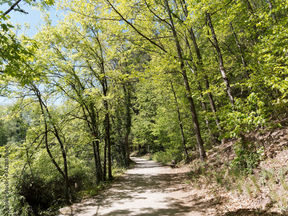 Fußmarsch rund um den Bergsee oberhalb Bad Säckingen unter einem frühlingsblauen Himmel in Baden-Wüttemberg Südschwarzwald Fußmarsch rund um den Bergsee oberhalb Bad Säckingen unter einem frühlingsblauen Himmel in Baden-Wüttemberg Südschwarzwald