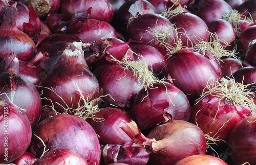 Pile of freshly harvested organic sweet red onions (allium cepa) in different sizes, selective focus