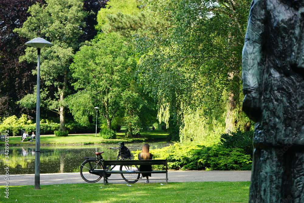 bench in park bench in park