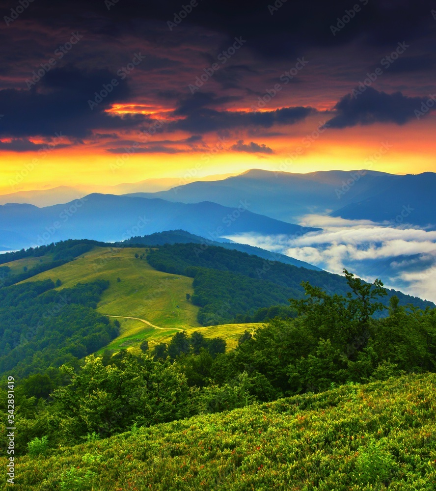  foggy summer sunrise image, vertical dawn scenery, attractive morning  landscape, beautiful nature background in the mountains, Carpathians, Ukraine, Europe