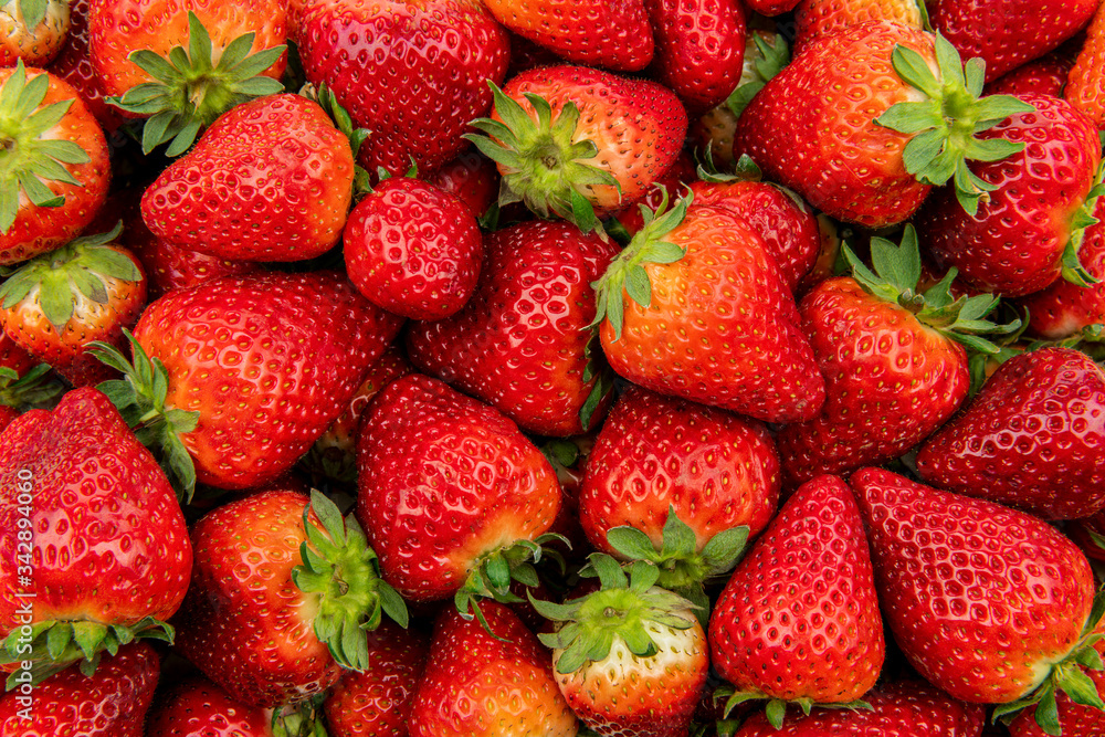 Background of the fresh strawberries Background of the fresh strawberries