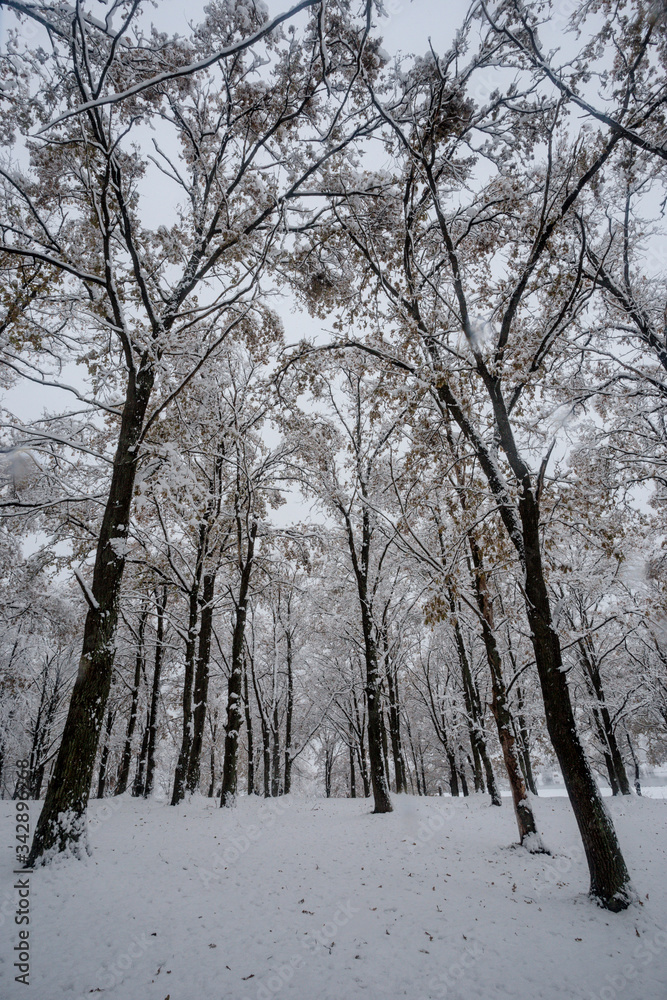landscape photography landscape photography