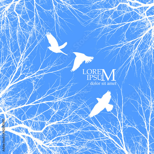 The background is the frame of the tree branch with birds. Forest. Vector illustration