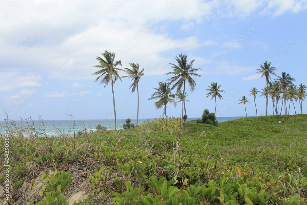 Playa en La Habana