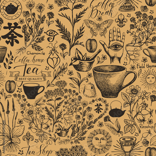 Vector seamless pattern on the theme of tea with sketches in retro style. Decorative background with hand-drawn medicinal herbs. Chinese character tea. Suitable for Wallpaper, wrapping paper, fabric