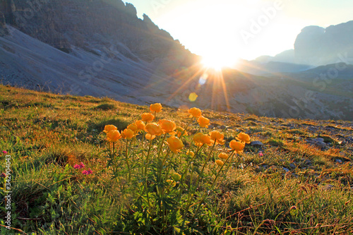 Die Dolomiten in Südtirol und Italien photo