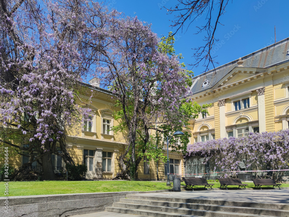 Spring view of National Art Gallery, Sofia
