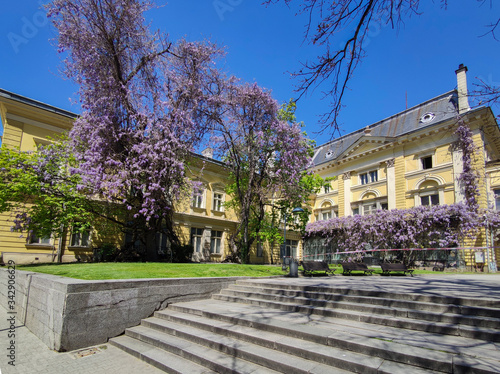 Spring view of National Art Gallery, Sofia