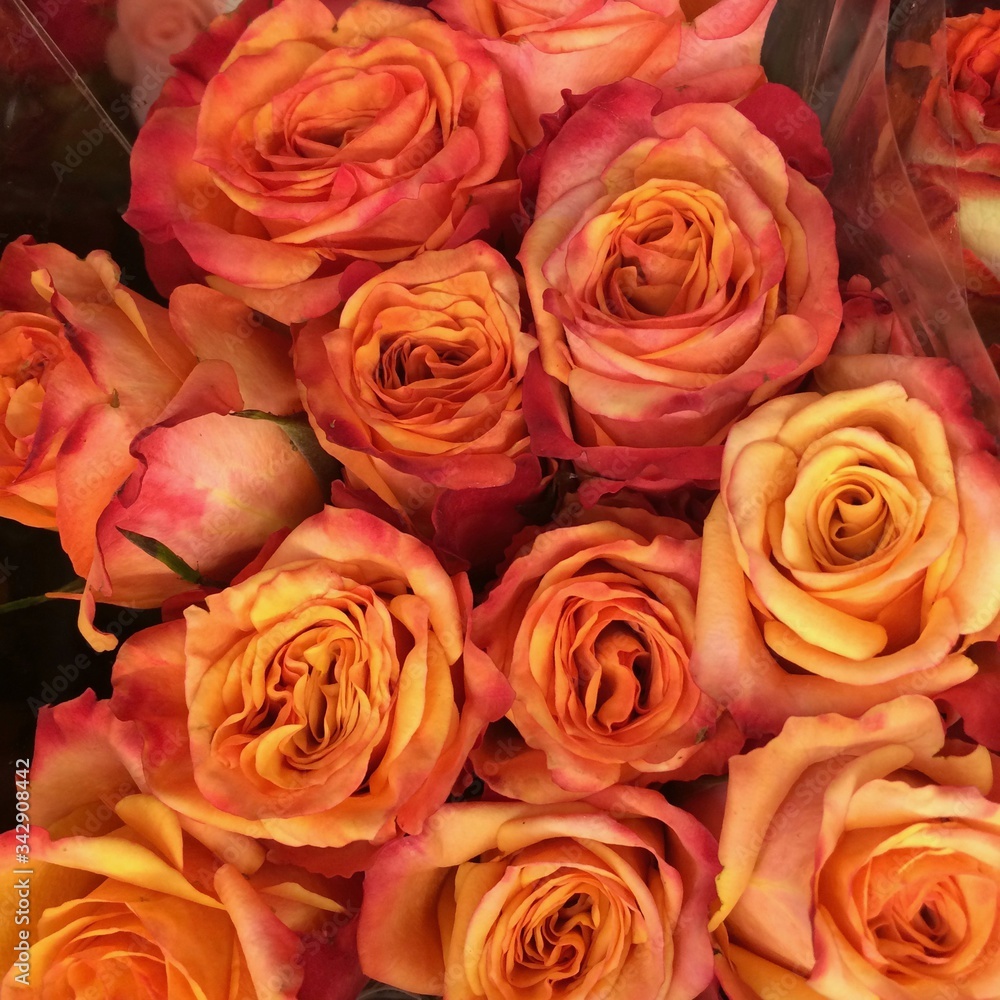 bouquet of peach roses bouquet of peach roses