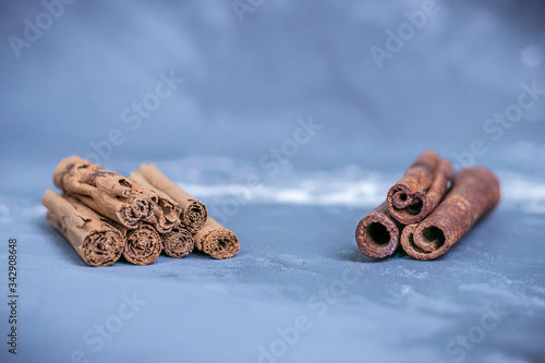 Chinese cassia originated from China and ceylon cinnamon verum from Sri Lanka bark sticks on a gray-blue background sprinkled with flour the difference between real and fake