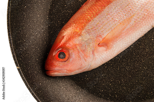 Red snapper raw fish isolated and disposed in a fry pan. White background. Cut out.