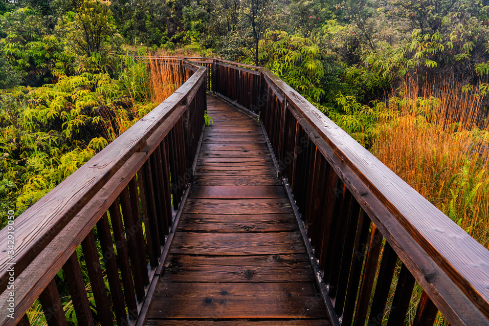 Wooded walkway in Hawaii Volcanoes National Park. 