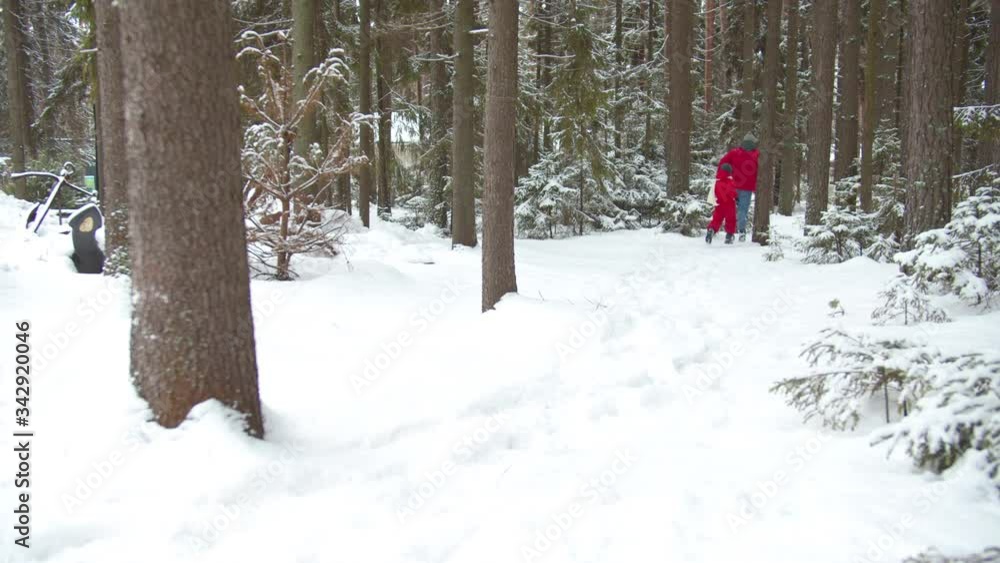 Father and son play catch-up in the winter forest Father and son play catch-up in the winter forest