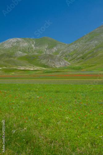 CASTELLUCCIO DI NORCIA AND ITS FLOWERING