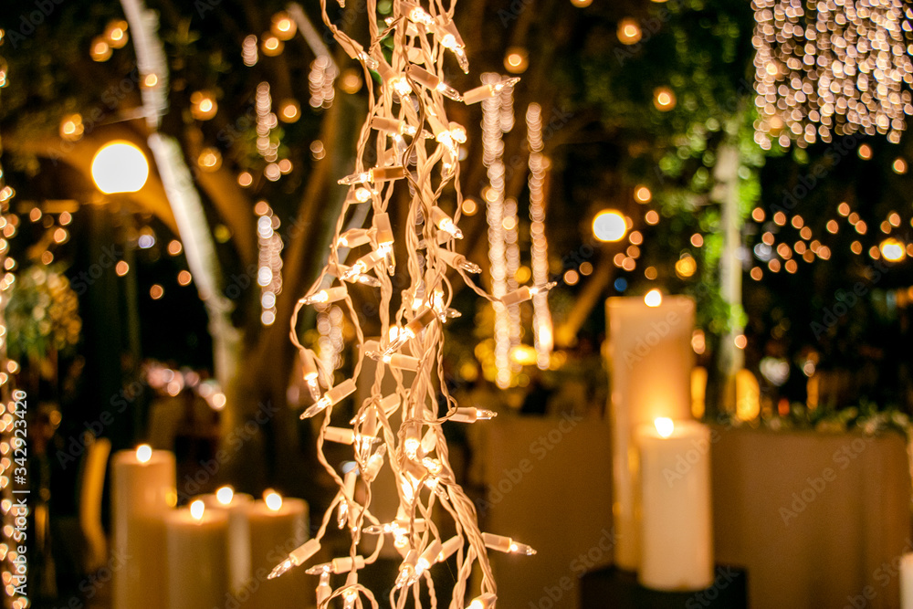 Luces decoradas con velas y plantas de fondo
