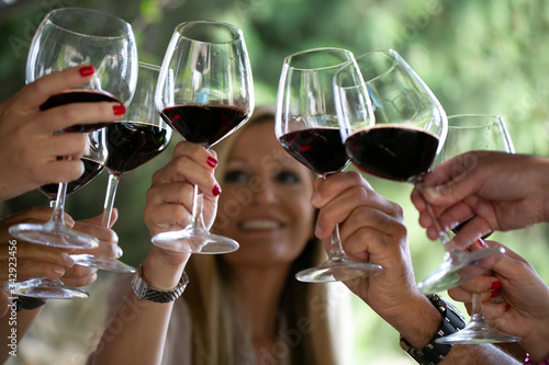 Brindisi tra amici con calici di vino rosso nella natura in campagna