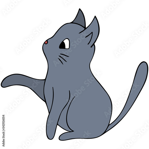Kitten. Gray color. Colored vector illustration. Isolated background. Cartoon style. Lovely pet. A purring creature with a mustache. Fluffy animal. The tail is up. Hand drawing. Idea for web design.
