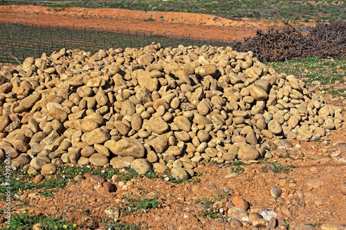 Pile of rocks removed from vineyard