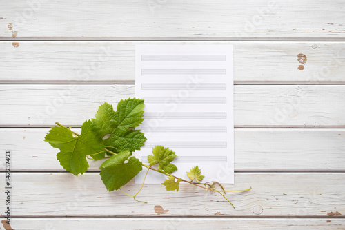Pentagram with vine branch and leafs on white wooden background