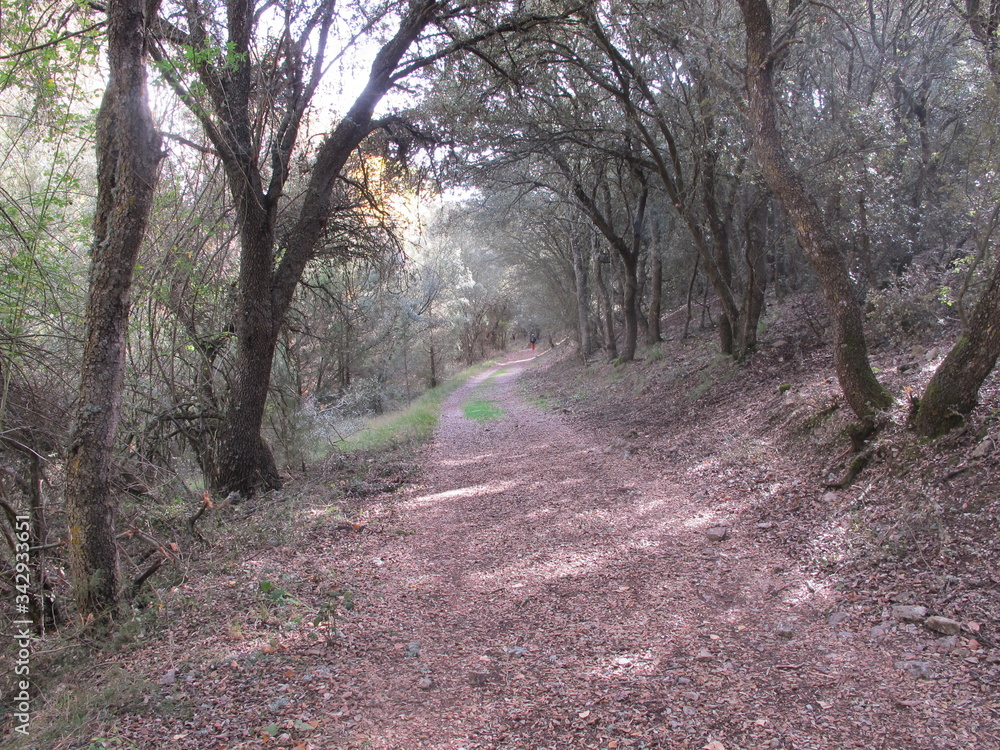 Fototapeta premium pARQUE NATURAL hOCES DEL rÍO rIAZA