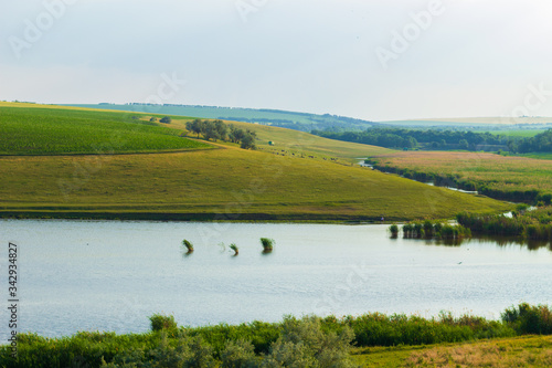 Green fields of farmland on a hilly terrain photo