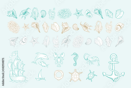 Marine line art vector icons of sea shells, anchor and mollusks. Hand drawn icon set with white fill. Marine seashell, seahorse, dolphin fish and turtle, anchor and buoy, corals, shrimp and yacht ship