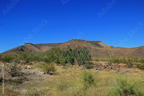 Desert Landscape with Mountains of the Western United States