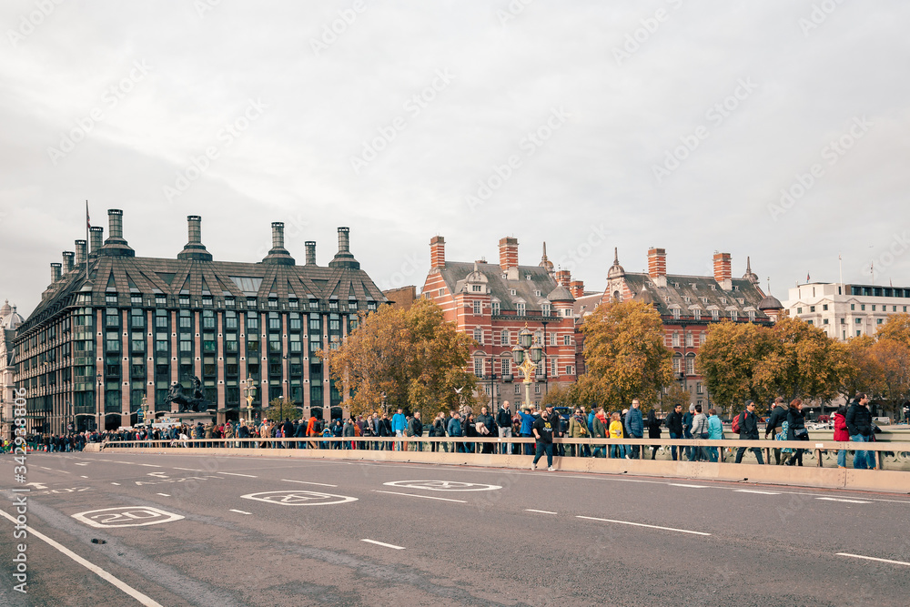 Fototapeta premium London, UK - November 09, 2020: view on the London street life and architecture near Buckingham Palace