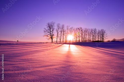 北海道富良野の風景です