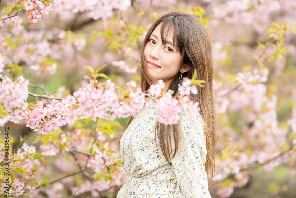 Fototapeta premium 美しい女性