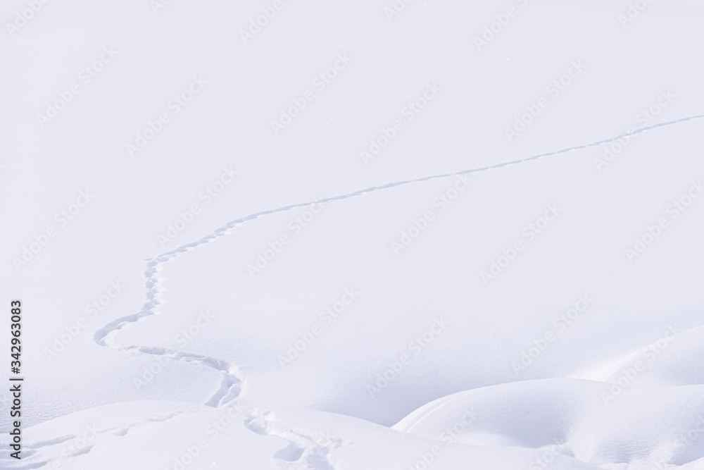 Distesa di neve bianca con traccia di un piccolo torrente che scorre tra gli alti argini di neve fresca in alta montagna Distesa di neve bianca con traccia di un piccolo torrente che scorre tra gli alti argini di neve fresca in alta montagna
