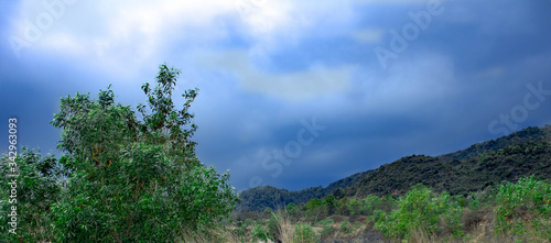green grass and blue sky © Sourav Ranjan Behera