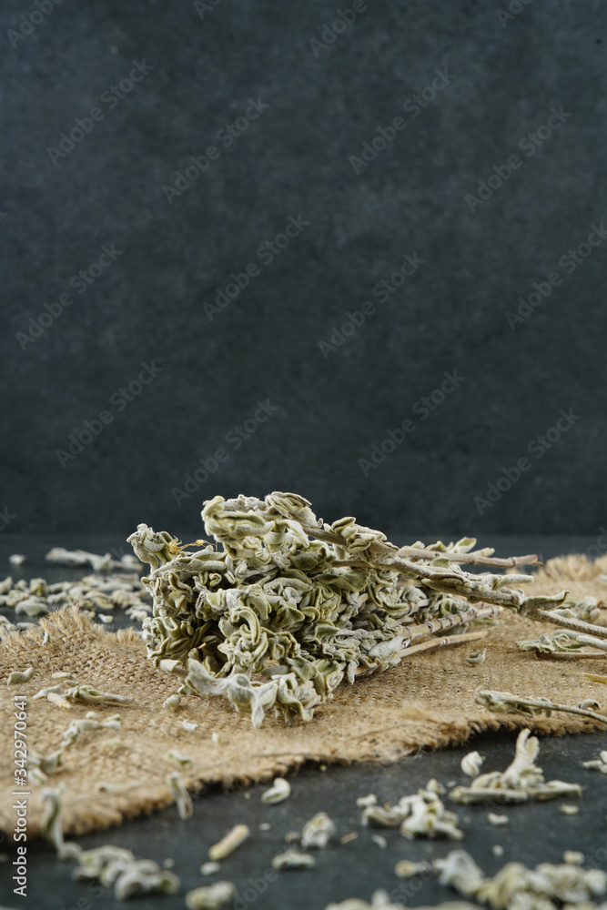 Sage stock photo Sage stock photo