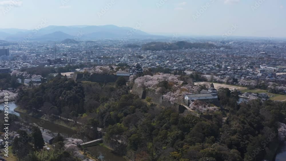 Hikone castle in Spring, Aerial rise establishing shot
Hikone castle in Spring, Aerial rise establishing shot
