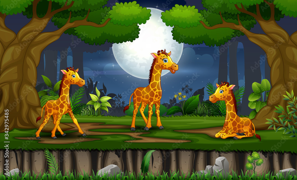 Obraz premium Cartoon three giraffes enjoying at the night landscape