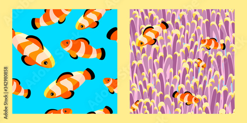 set of two seamless patterns with bright clown fishes and corals