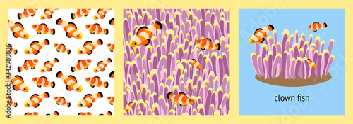 set of two seamless patterns and illustration with bright clown fishes and corals